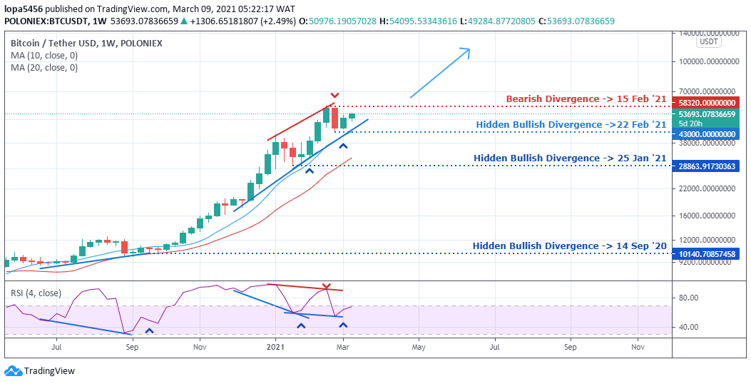 BTCUSD weekly chart (trading view) 
