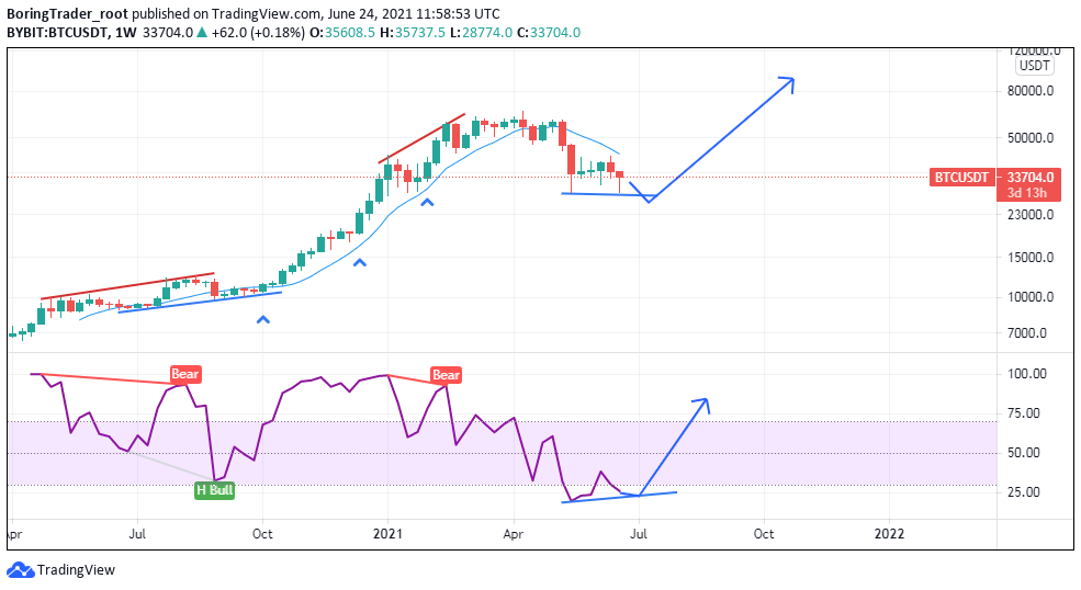 BTCUSD weekly chart - 24th June 2021